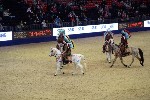 Quadrille - 00165